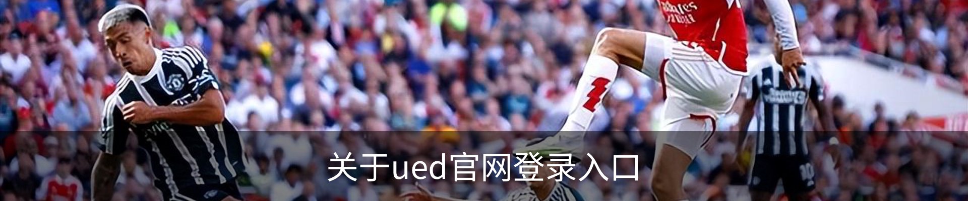 关于ued官网登录入口